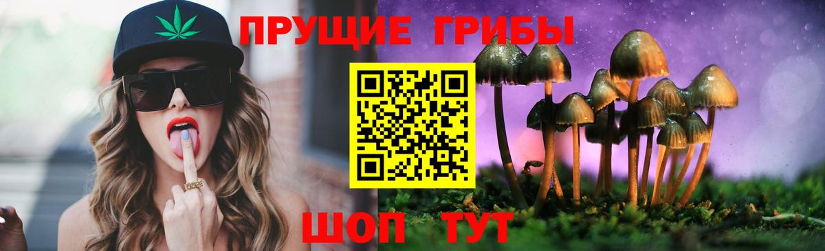 Галлюциногенные грибы Psilocybine cubensis  Псилоцибиновые грибы ЛСД  Тверь 